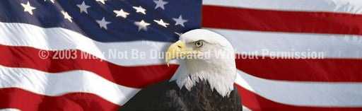 Window Graphic - 20x65 US Flag 1 with Eagle Centered