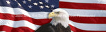 Window Graphic - 16x54 US Flag 1 with Eagle Centered