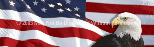 Window Graphic - 16x54 US Flag 1 with Eagle for Slider Windows