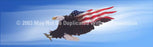 Window Graphic - 16x54 Wings of Freedom Blue