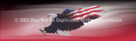 Window Graphic - 20x65 Wings of Freedom Red