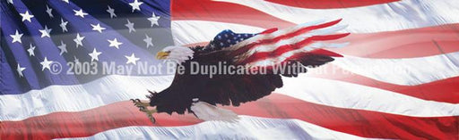 Window Graphic - 16x54 Wings of Freedom Flag 2