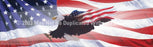 Window Graphic - 20x65 Wings of Freedom Flag 2