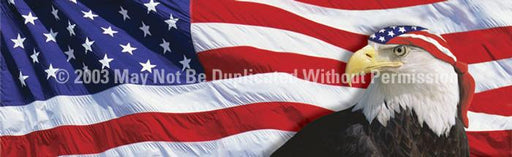 Window Graphic - 16x54 US Flag 2 with Eagle & Bandana