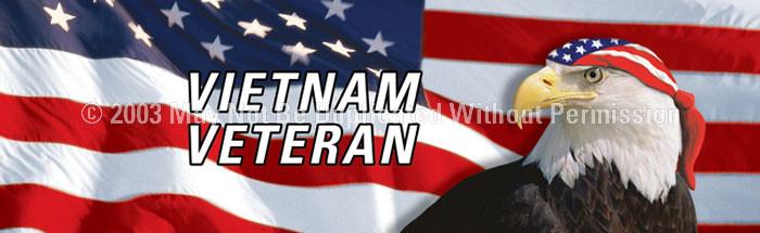 Window Graphic - 16x54 Vietnam Veteran