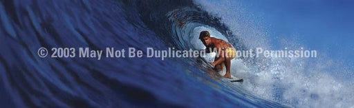 Window Graphic - 20x65 Surferotic