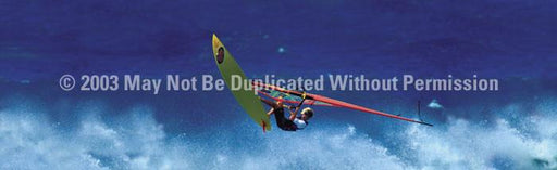 Window Graphic - 20x65 Sailboard Flying High