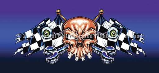 Window Graphic - 30x65 Racing Skull