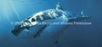 Window Graphic - 30x65 Great White