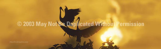 Window Graphic - 20x65 Heron Sunset