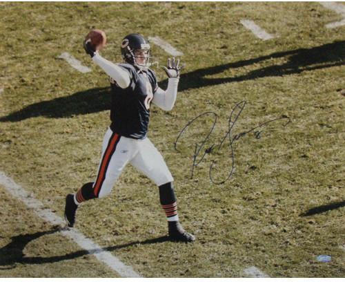 Rex Grossman Overhead Blue Jersey 16x20