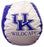 Bean Bag U Of Kentucky