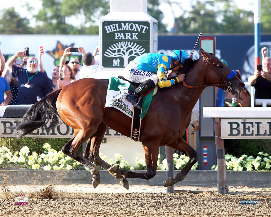 Victor Espinoza & American Pharoah Finish Line Celebration 2015 Belmont Stakes 8x10 Photo (Getty #476139002)