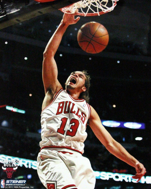 Joakim Noah Dunk Over Close Up Vertical 16x20 Photo uns (Getty#  103241430)-