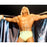 Hulk Hogan Opening Cape 8x10 Photograph