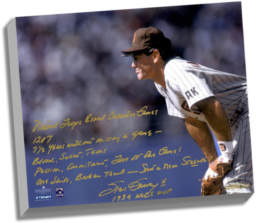 Steve Garvey Facsimile NL Consecutive Streak Story Stretched 16x20 Story Canvas