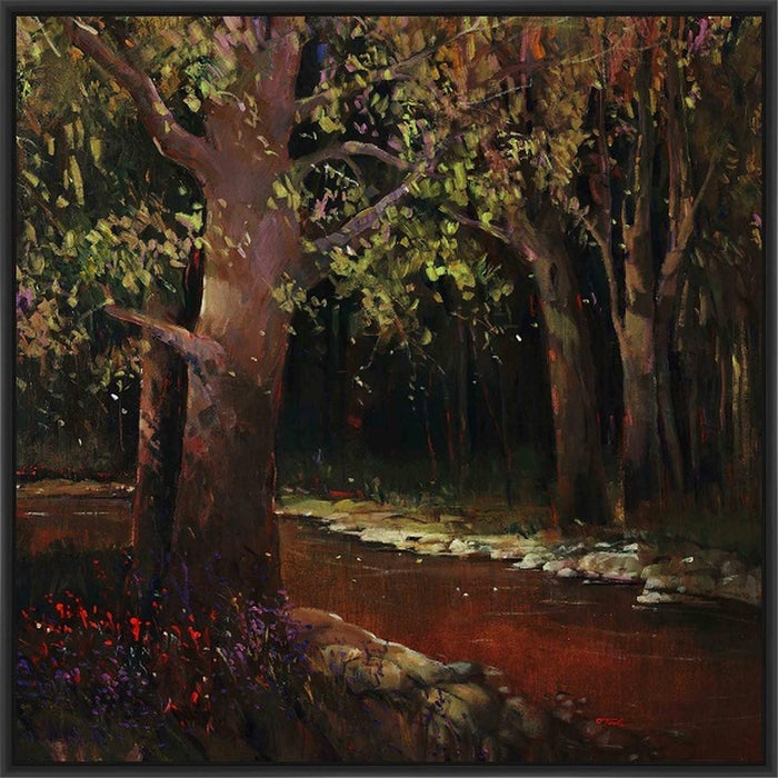 HIDDEN STREAM FOREST 28L X 28H Floater Framed Art Giclee Wrapped Canvas