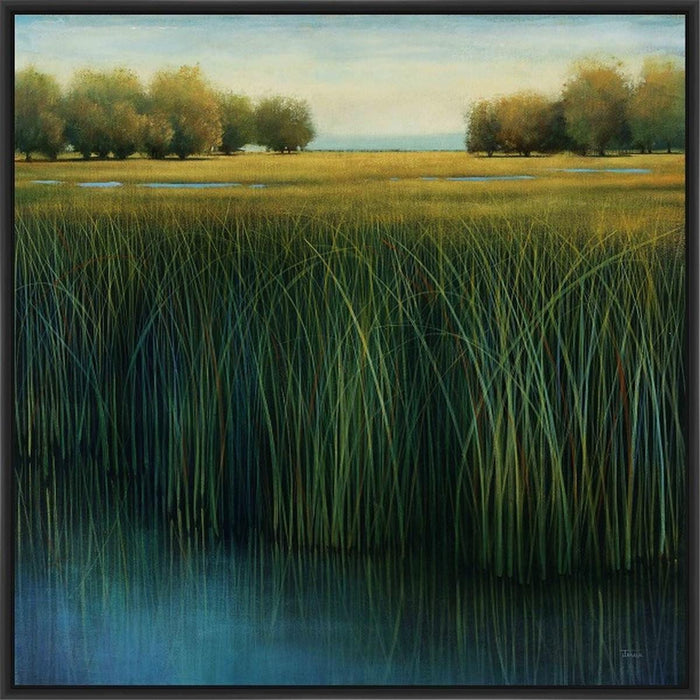 TALL GRASS 28L X 28H Floater Framed Art Giclee Wrapped Canvas