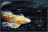 BIG FISH 22L X 28H Floater Framed Art Giclee Wrapped Canvas