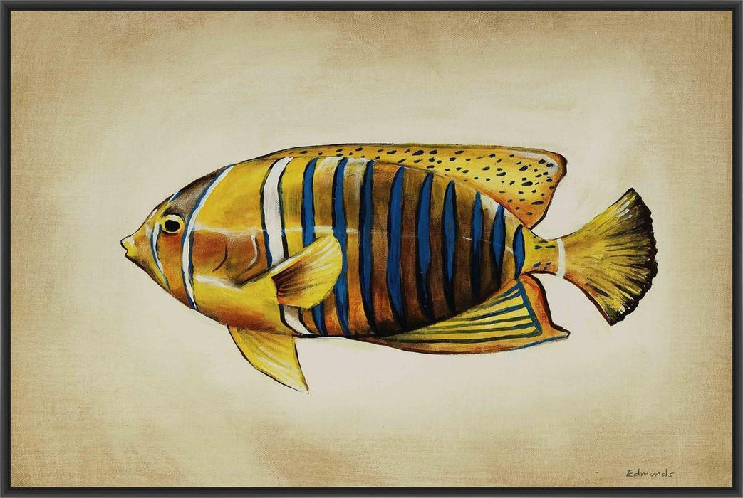 TROPICAL FISH II 22L X 28H Floater Framed Art Giclee Wrapped Canvas