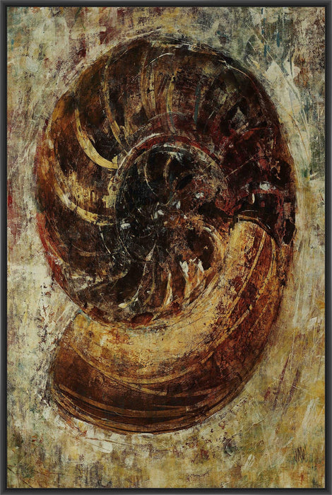 SEA SHELL IX 22L X 28H Floater Framed Art Giclee Wrapped Canvas