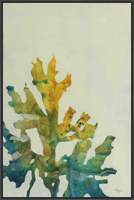 SEA WEED IV 22L X 28H Floater Framed Art Giclee Wrapped Canvas