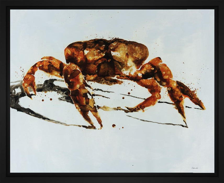 King Crab 28L X 28H Floater Framed Art Giclee Wrapped Canvas