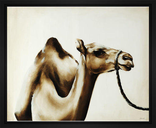 Over the Hump 28L X 28H Floater Framed Art Giclee Wrapped Canvas