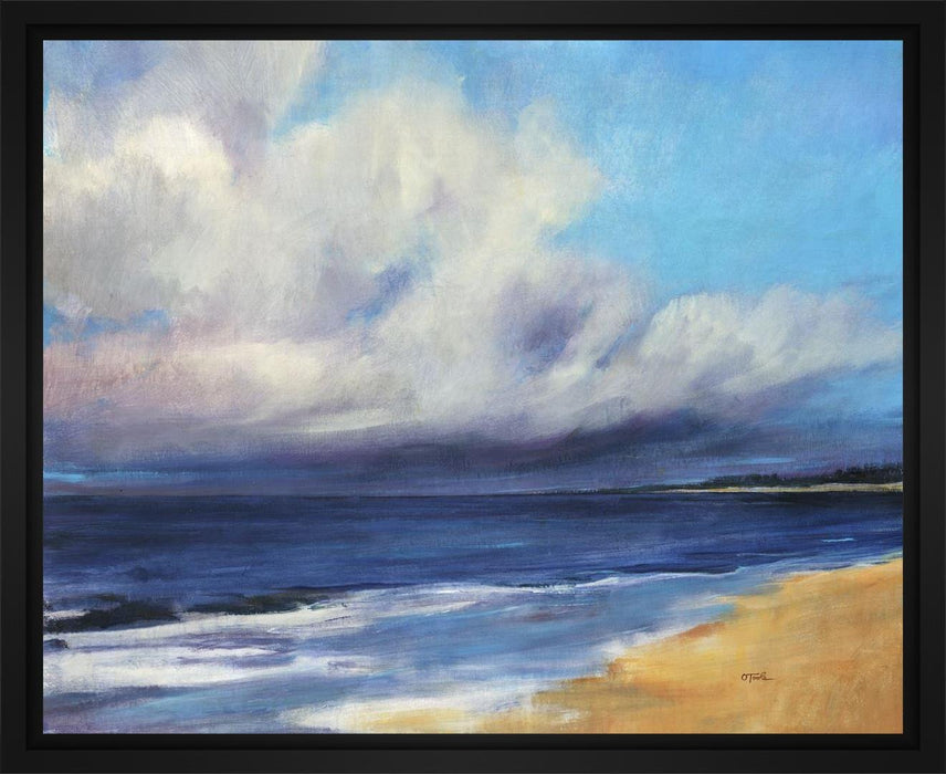 Passing Storm 28L X 28H Floater Framed Art Giclee Wrapped Canvas