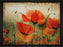 Poppy Daze 28L X 22H Floater Framed Art Giclee Wrapped Canvas