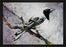 Pretty Bird 28L X 22H Floater Framed Art Giclee Wrapped Canvas