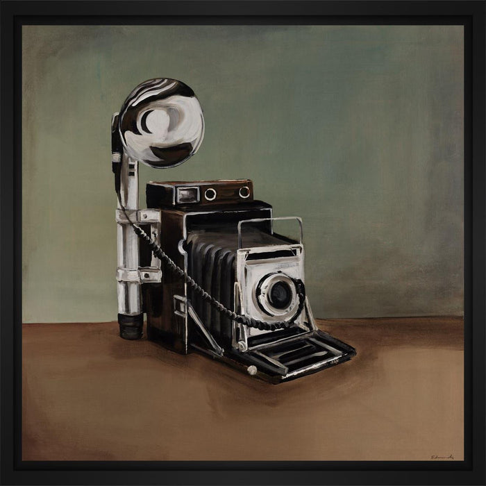 Vintage Classics II - camera 28L X 28H Floater Framed Art Giclee Wrapped Canvas