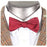 Doctor Who Eleventh Doctor's Clip-On Bow Tie                