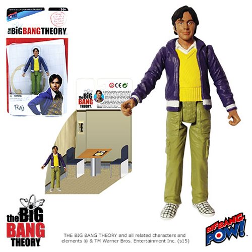 The Big Bang Theory Raj 3 3/4-Inch Action Figure Series 1   