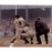 Yogi Berra Signed Batting vs Dodgers  56 WS Color 16x20 Photo