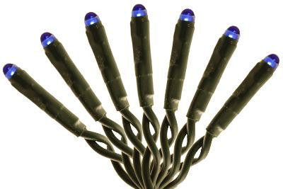 31' Golden Canopy Tree Lights (Blue)