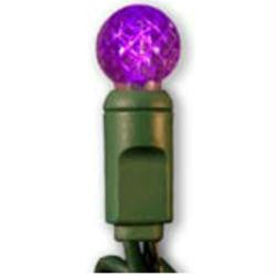 50 LED Raspberry G12 Purple Set w-4" Spacing