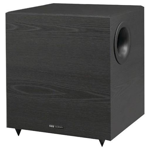 10-IN 160W SUBWOOFER