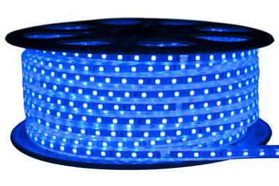 164' 120-Volt Blue 3528 LED Strip Light Spool