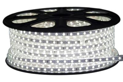 164' 120-Volt Cool White 3528 LED Strip Light Spool