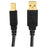 CABLE USB MALE A-B 10'