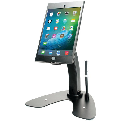 KIOSK STAND FOR IPAD MINI