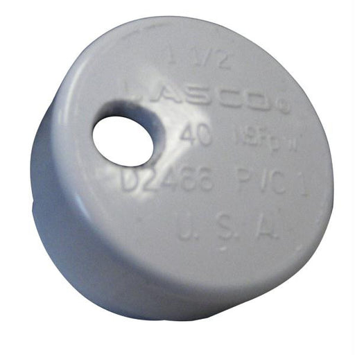 Lee's PVC Drain Cap f-Heavy Rod Holders 1-4&quot; NPT