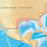 Navionics Platinum Plus - West Gulf of Mexico - microSD-SD