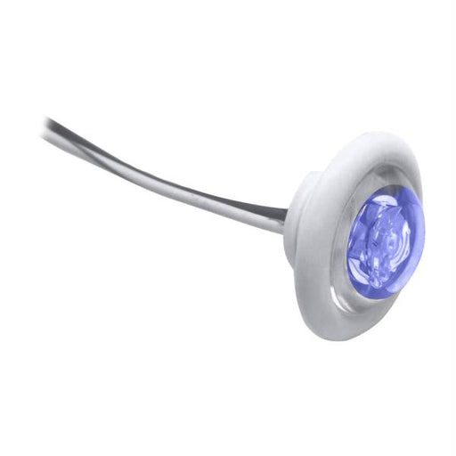 Innovative Lighting LED Bulkhead-Livewell Light &quot;The Shortie&quot; Blue LED w- White Grommet