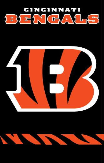 AFBE Bengals 44x28 Applique Banner