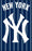 AFNYY Yankees 44x28 Applique Banner