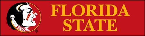 BFSU Florida State Giant 8-Foot X 2-Foot Nylon Banner