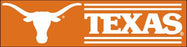 BUT Texas Giant 8-Foot X 2-Foot Nylon Banner