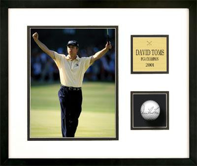 David Toms - Golf Ball Series